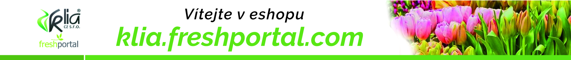 uvodní